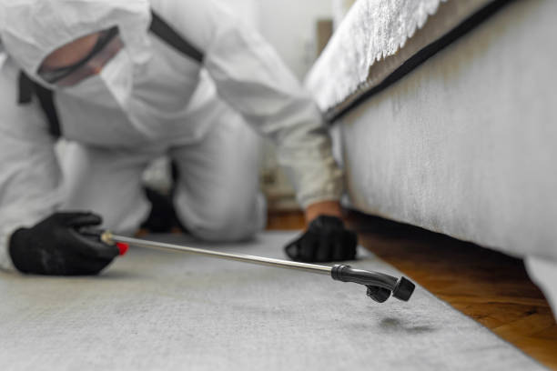 Professional Bed Bug Control technician working in Gravette, AR